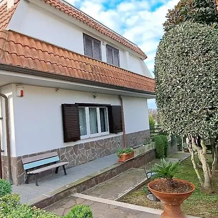 Oasi Di Angelica